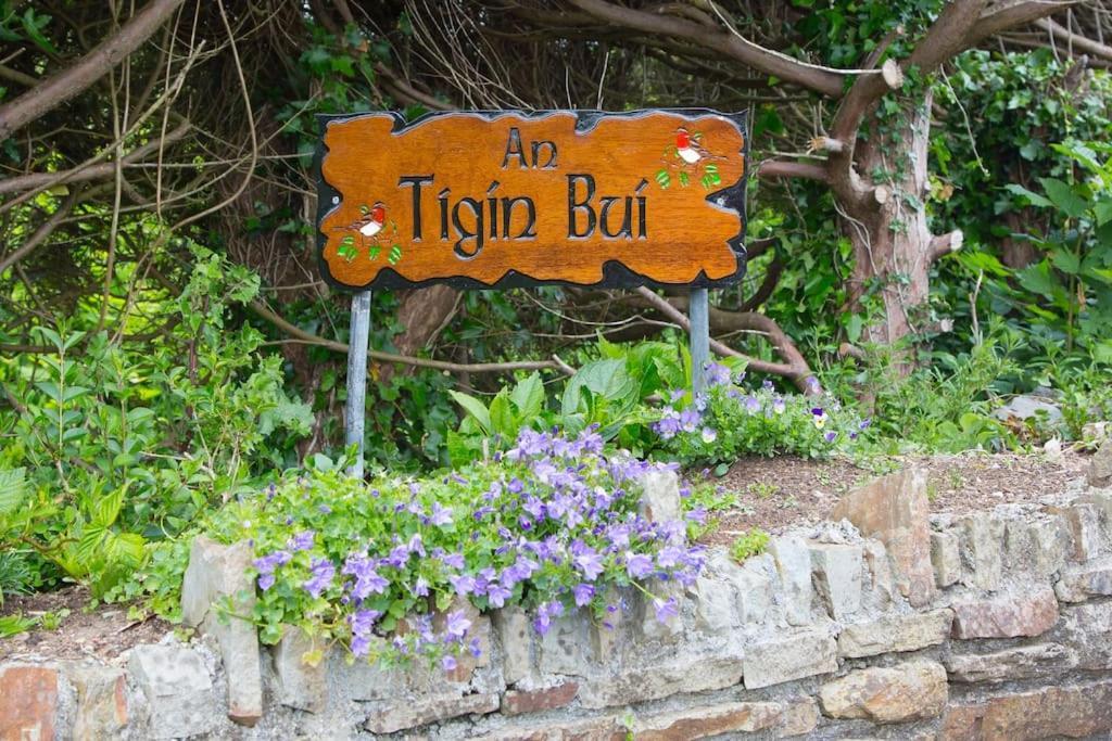 Willa An Tigin Bui Glanbannoo Upper Zewnętrze zdjęcie